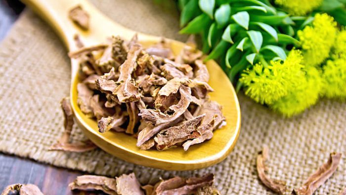 Rhodiola