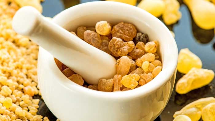 Boswellia
