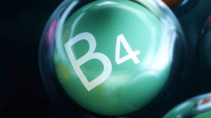 Choline_B4