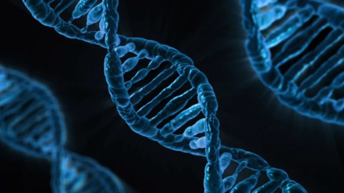 Epigenetica | Perfect Health