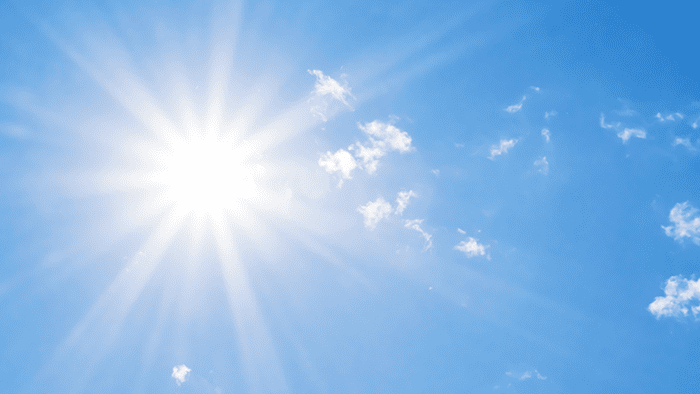 Zonneschade en antioxidanten | Blog | Perfect Health
