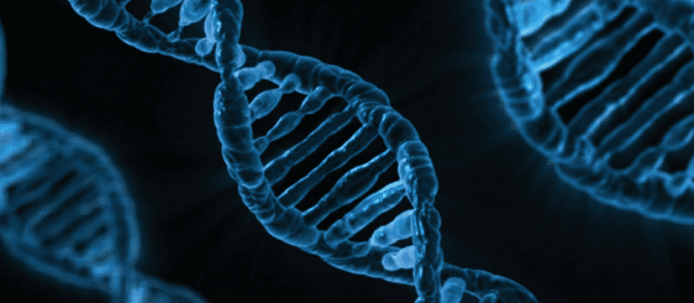 DNA